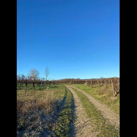 Ferienwohnung Rheingau *